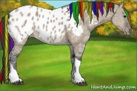 Horse Color:Painted Brown Ice Dun Tobiano Near Leopard Rabicano
