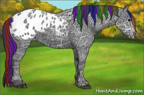 Horse Color:Painted Black Ice Appaloosa 