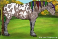 Horse Color:Painted Brown Ice Appaloosa 