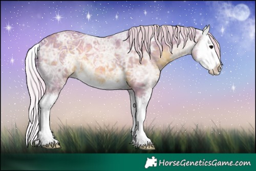 Horse Color:Watercolor Silver Black Ice Sabino Splash 