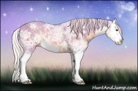 Horse Color:Watercolor Silver Black Ice Sabino Splash 
