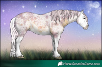 Horse Color:Watercolor Silver Black Ice Sabino Splash 