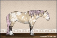 Horse Color:Painted White Spotted Silver Buckskin Ice Dun Splash