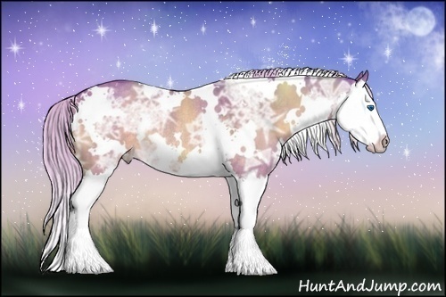 Horse Color:Watercolor White Spotted Silver Brown Ice Dun Splash Rabicano 