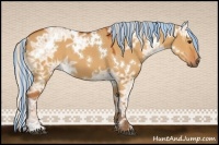 Horse Color:Painted White Spotted Silver Bay Ice Dun 