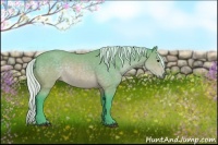 Horse Color:Watercolor Silver Brown Sabino Rabicano 