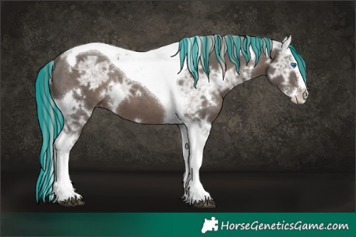 Horse Color:Painted White Spotted Silver Black Ice Splash Tobiano 