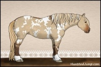 Horse Color:White Spotted Liver Red Dun 
