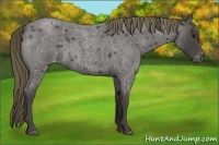 Horse Color:Smoky Blue Roan Varnish 