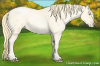 Horse Color:Buckskin Roan Pearl  and Amber Cream Champagne Roan Pearl 