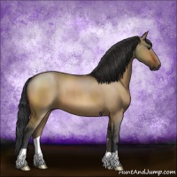 Horse Color:Brown Dun 