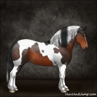 Horse Color:Brown Tobiano 