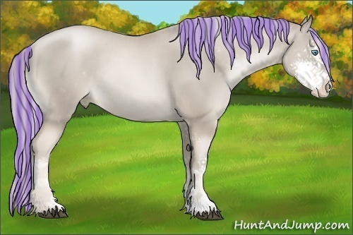 Horse Color:Painted Chocolate Palomino Pearl Sabino Rabicano