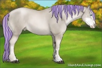Horse Color:Painted Chocolate Palomino Pearl Sabino Rabicano