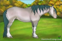 Horse Color:Watercolor Amber Champagne Onyx