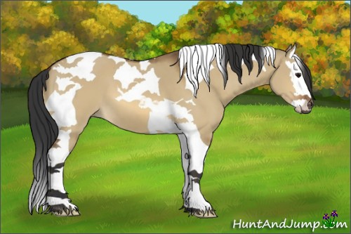 Horse Color:Bay Dun Splash Tobiano 