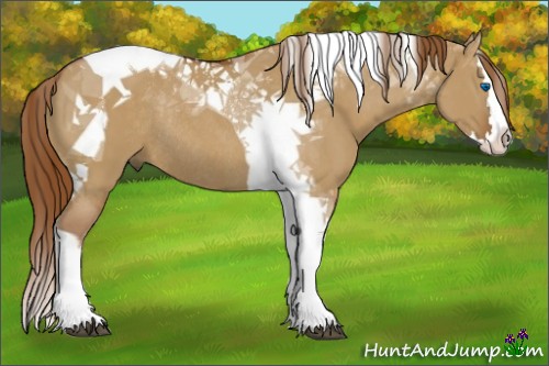 Horse Color:Red Dun Splash Tobiano Rabicano