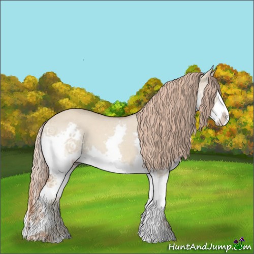 Horse Color:Red Dun Splash 