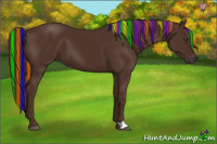 Horse Color:Gray Painted Chestnut 