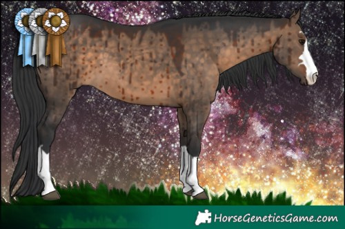 Horse Color:Brown Dun Brindle 