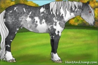 Horse Color:White Spotted Silver Black Chinchilla 