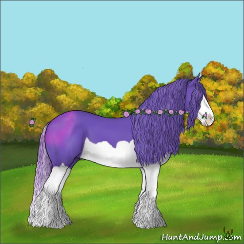 Horse Color:Watercolor Black Splash