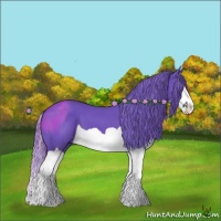 Horse Color:Watercolor Black Splash 