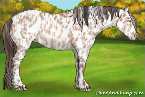 Horse Color:Sable Champagne Leopard and Amber Champagne Leopard