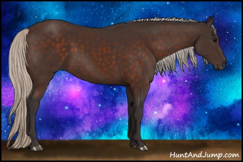 Horse Color:Silver Brown 