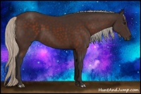 Horse Color:Silver Brown 
