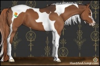 Horse Color:Liver Chestnut Sabino Tobiano 