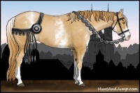 Horse Color:White Spotted Chestnut Pearl