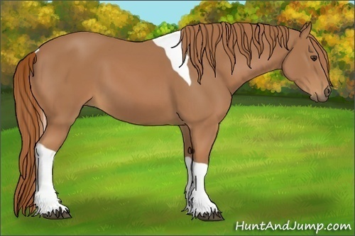 Horse Color:Chestnut Tobiano 