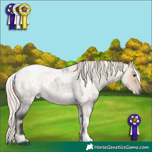 Horse Color:Grullo Roan Onyx Rabicano and White Spotted Liver Red Dun Roan Snowdrop Pearl Rabicano