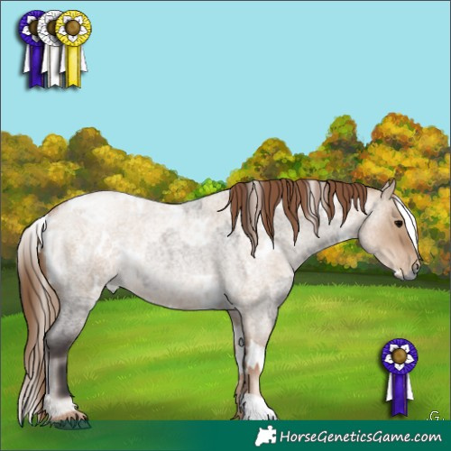 Horse Color:Grullo Roan Onyx Rabicano  and White Spotted Liver Red Dun Roan Pearl Rabicano 