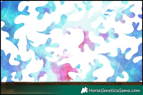 Horse Color:Watercolor Brown Splash 