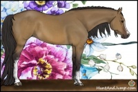 Horse Color:White Spotted Buckskin Dun Sabino Rabicano