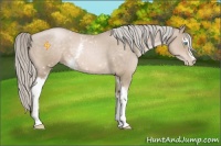 Horse Color:White Spotted Chocolate Palomino Pearl 