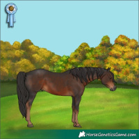 Horse Color:Gray Liver Chestnut