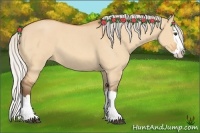 Horse Color:Silver Bay Roan Dun Splash 