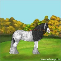 Horse Color:Blue Ice Roan Splash