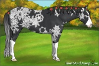Horse Color:Black Ice Splash 