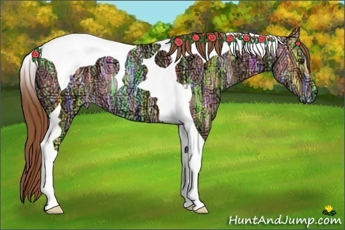 Horse Color:Red Dun Ice Tobiano 