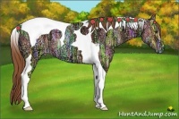 Horse Color:Red Dun Ice Tobiano 