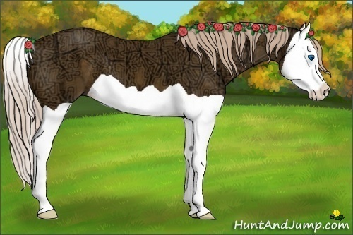 Horse Color:Chocolate Palomino Ice Splash 