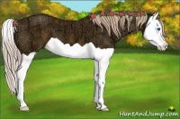 Horse Color:Chocolate Palomino Ice Splash 