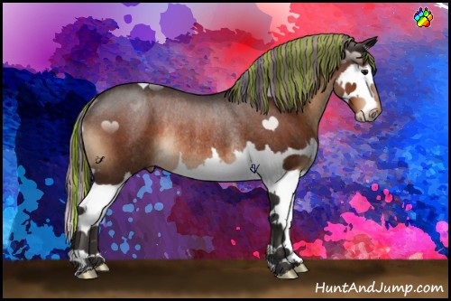 Horse Color:Painted Bay Sabino Splash Rabicano 