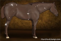 Horse Color:White Spotted Liver Chestnut 