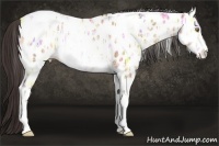 Horse Color:White Spotted Sable Champagne Ice Tobiano Near Leopard