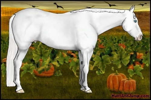 Horse Color:Cremello Varnish
